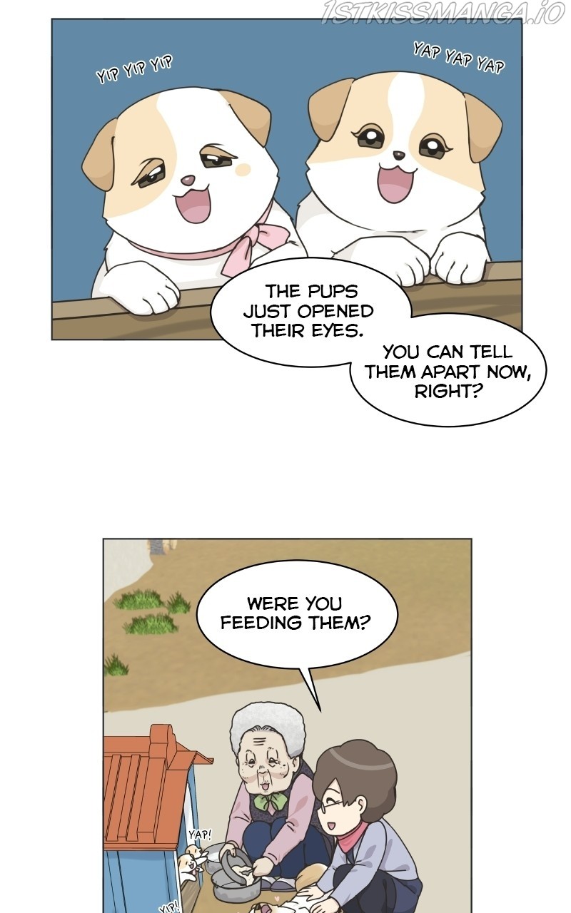 The Dog Diaries Chapter 73 #30
