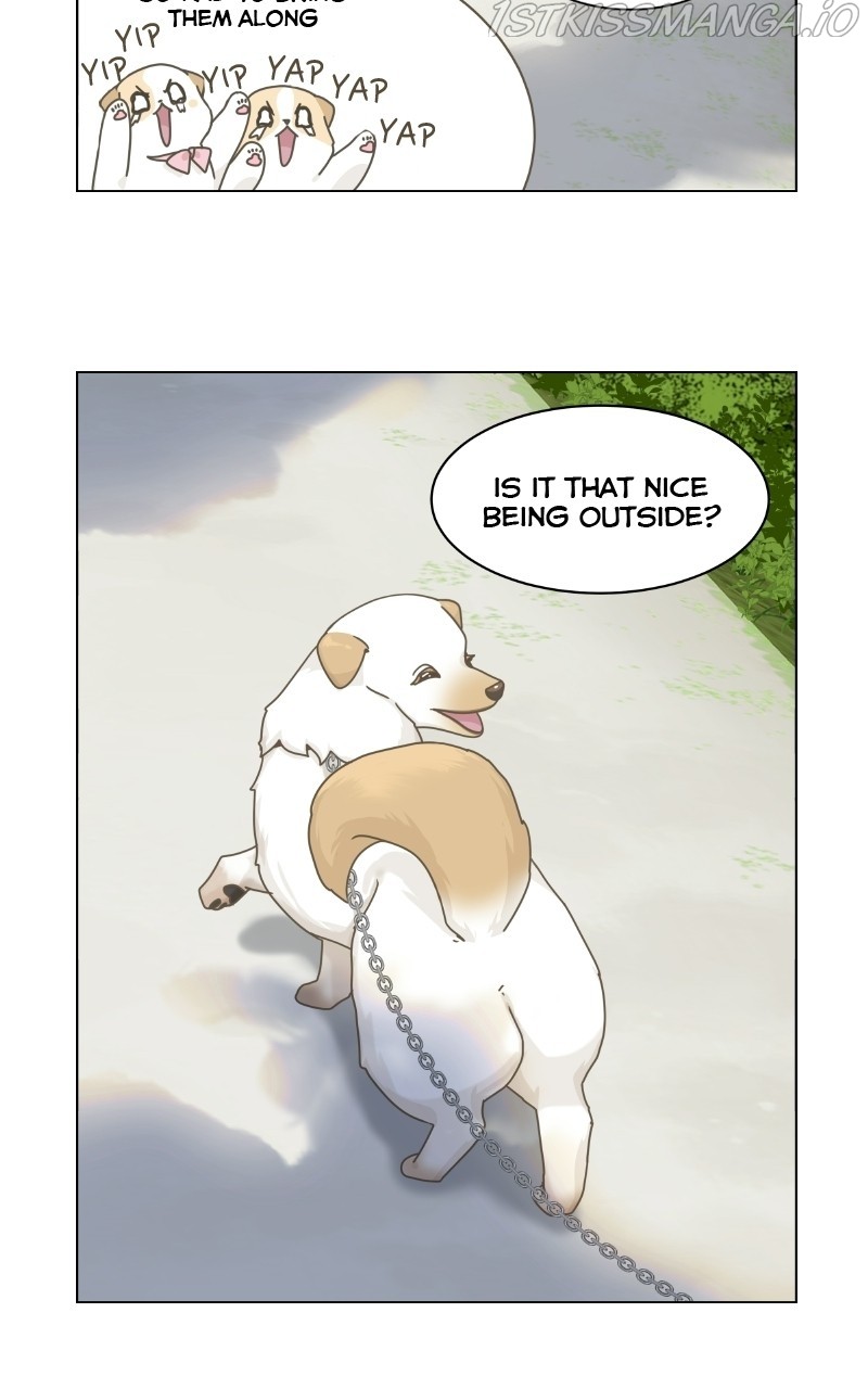 The Dog Diaries Chapter 73 #41