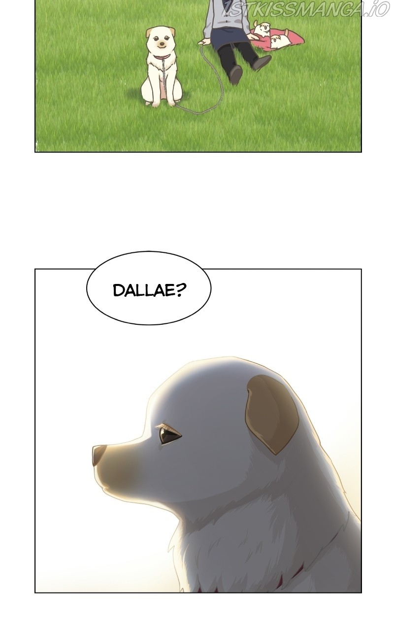 The Dog Diaries Chapter 73 #46