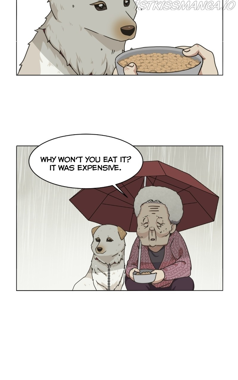 The Dog Diaries Chapter 73 #71