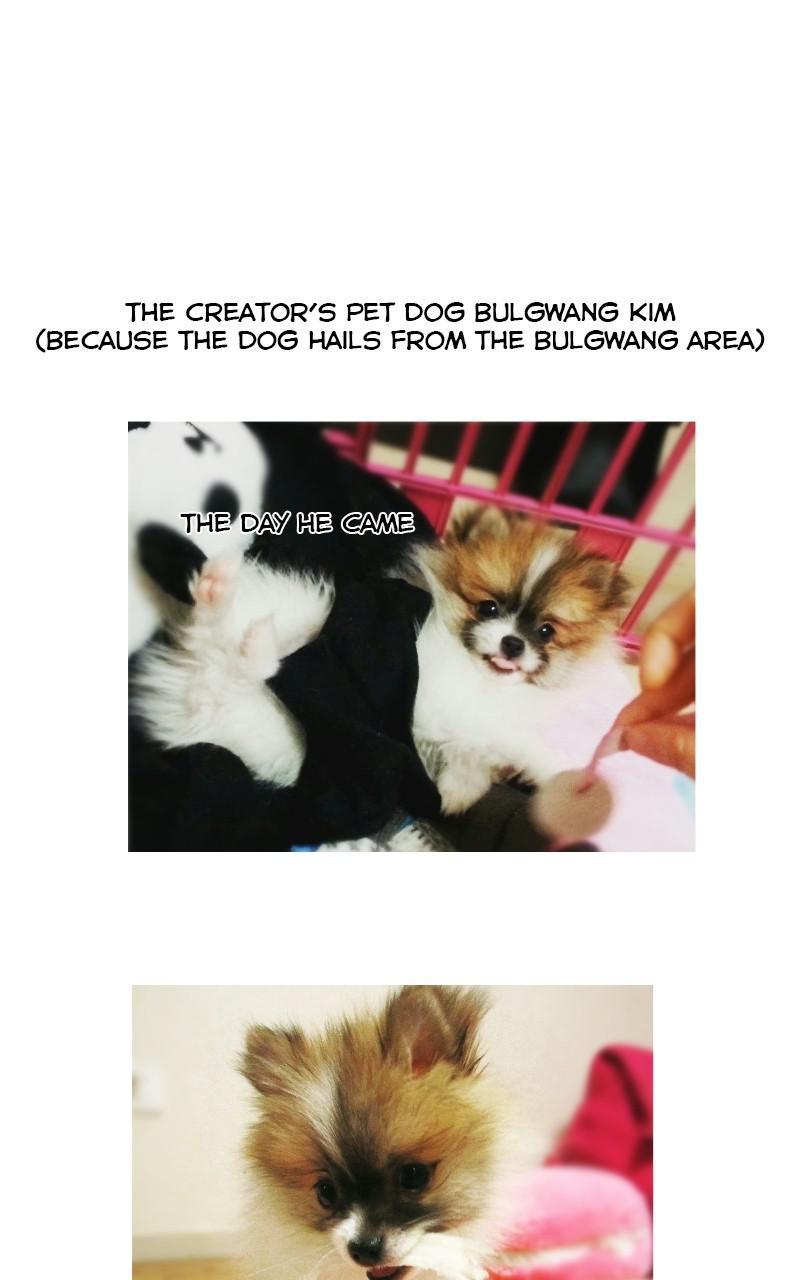 The Dog Diaries Chapter 68.5 #13