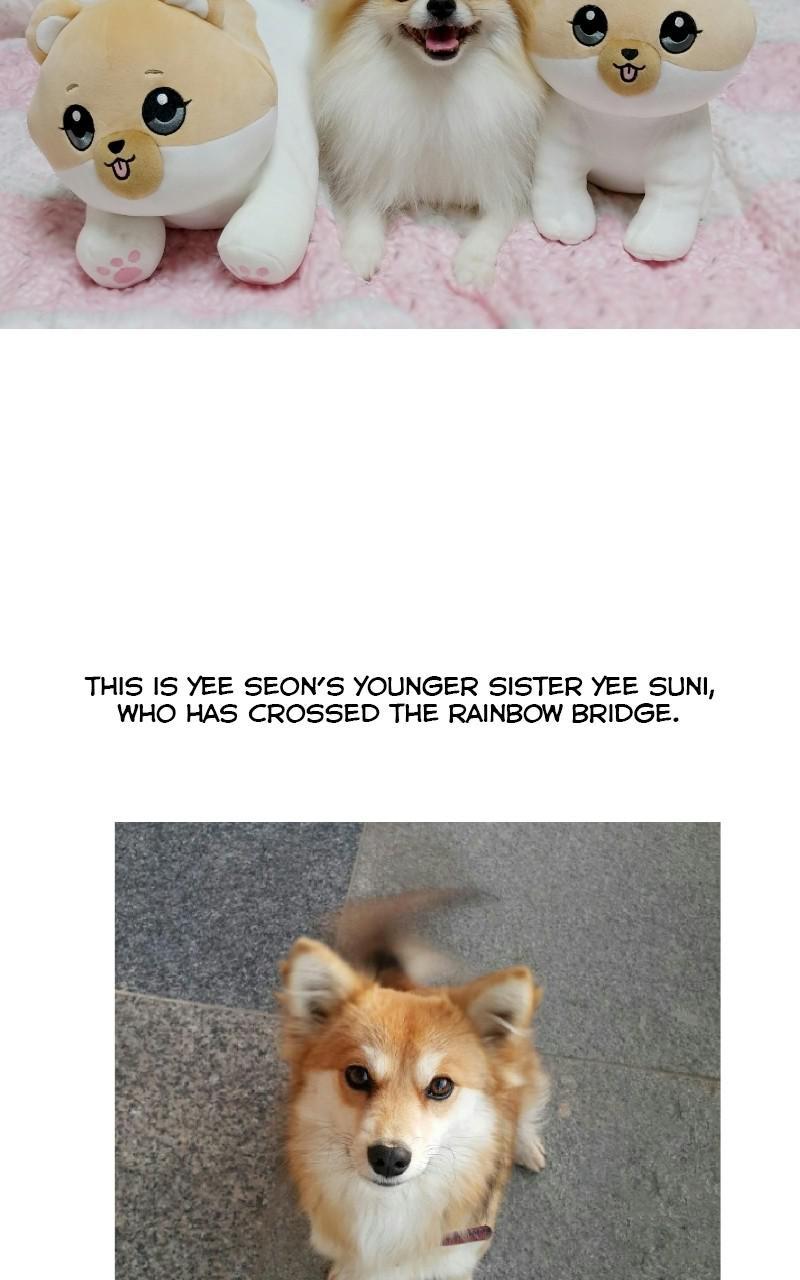 The Dog Diaries Chapter 68.5 #15