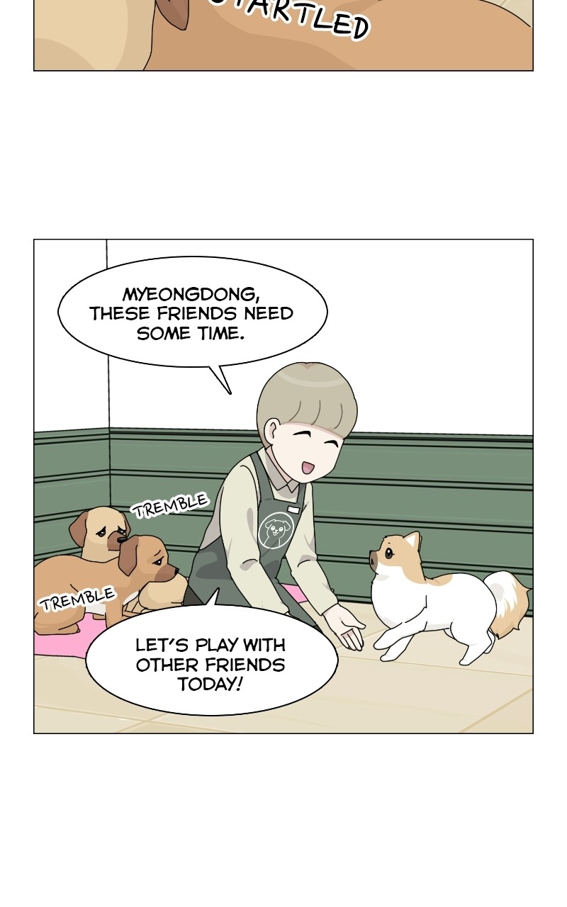 The Dog Diaries Chapter 69 #36