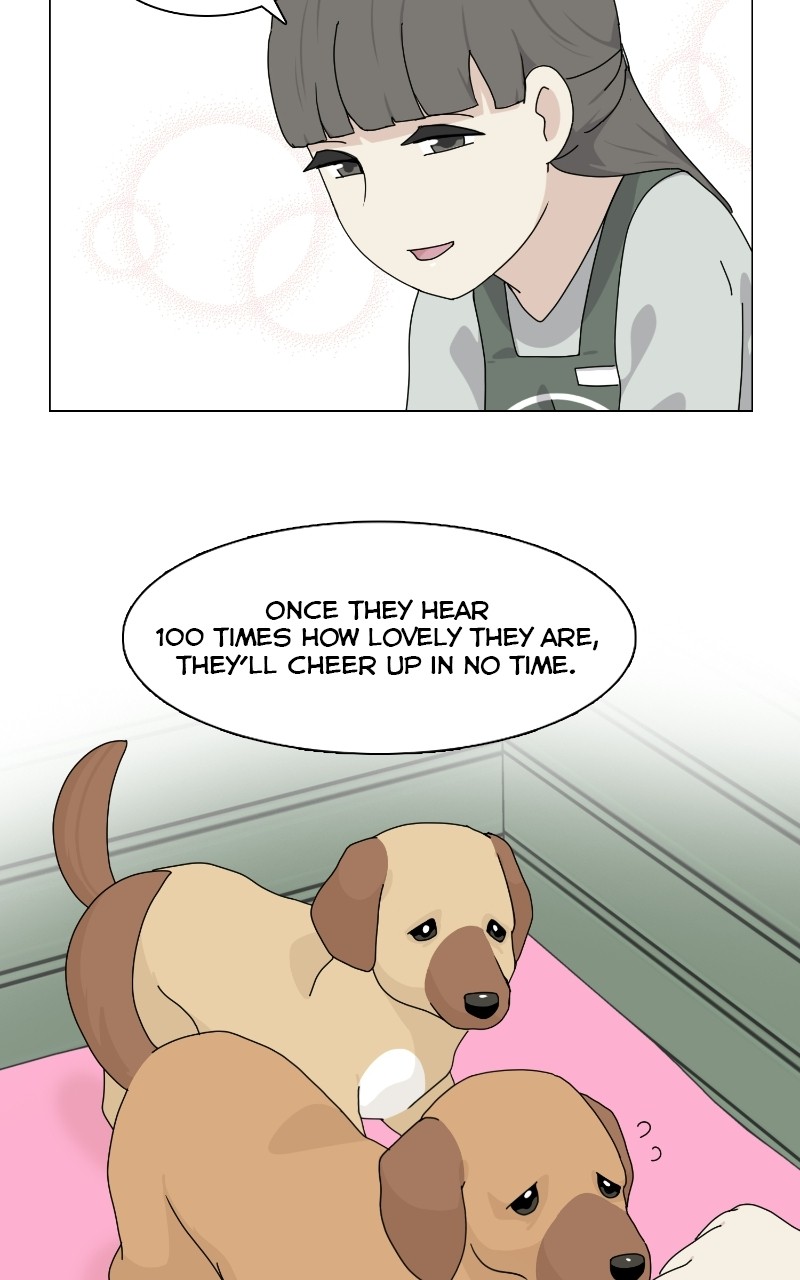 The Dog Diaries Chapter 69 #50