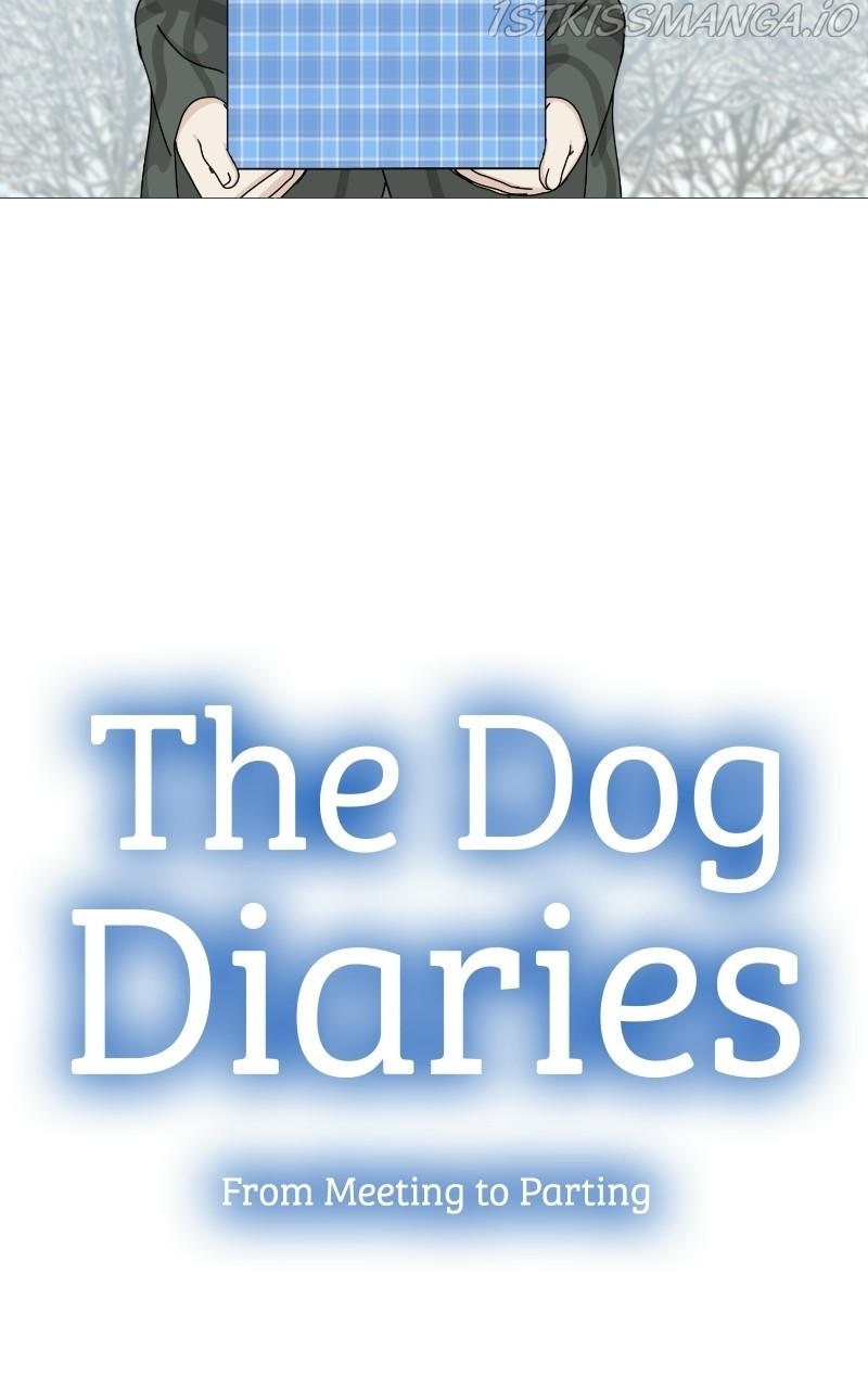 The Dog Diaries Chapter 65 #18