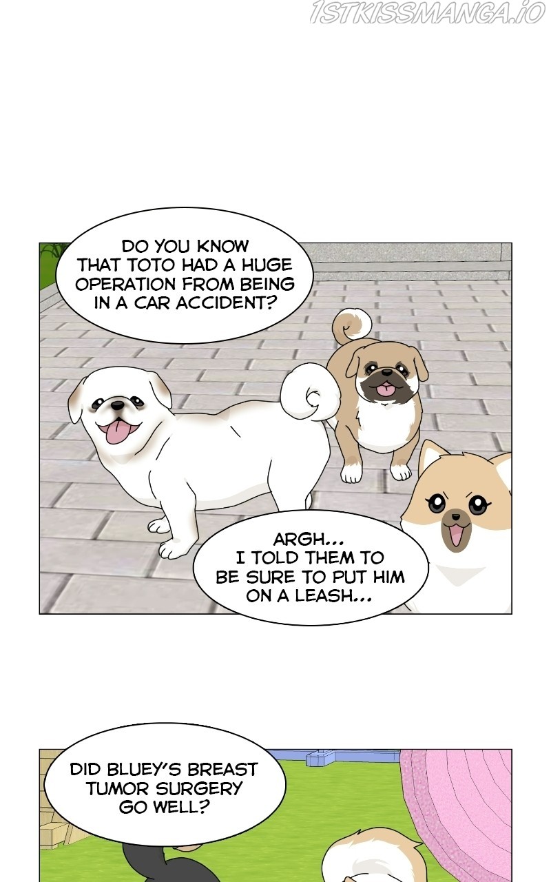 The Dog Diaries Chapter 64 #26
