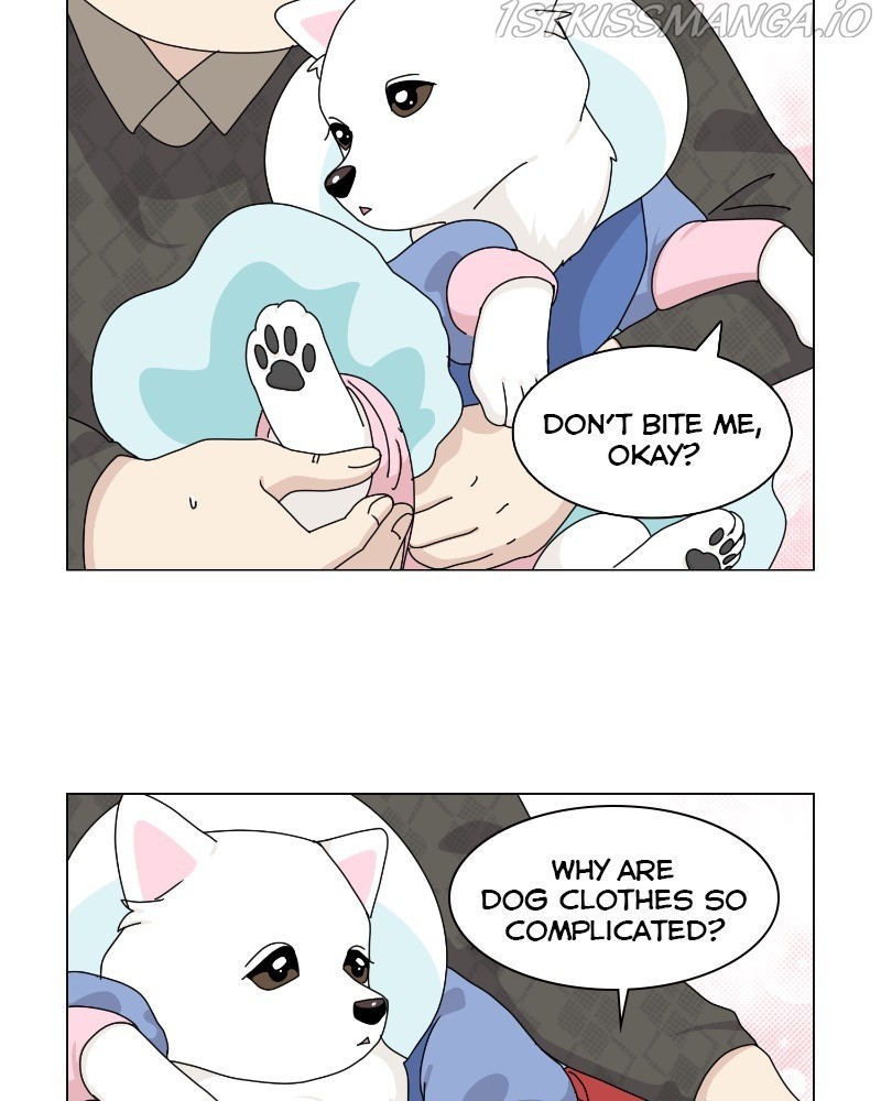 The Dog Diaries Chapter 62 #40