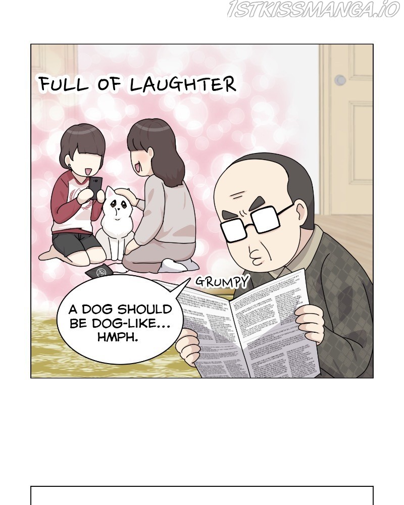 The Dog Diaries Chapter 62 #72