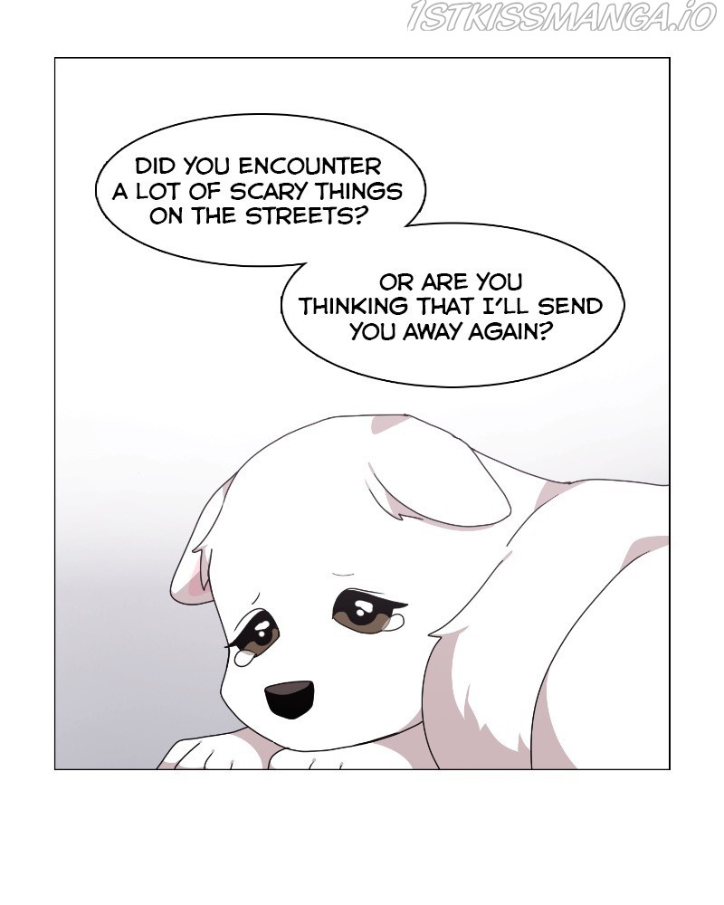 The Dog Diaries Chapter 61 #25