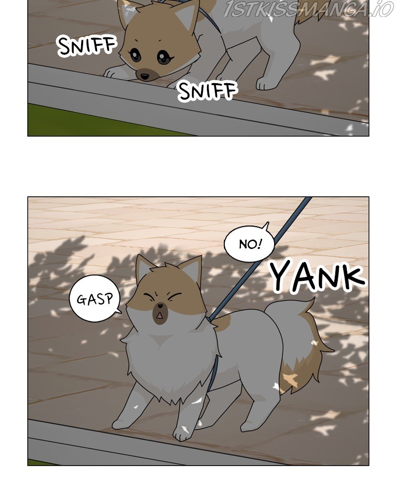 The Dog Diaries Chapter 54 #15