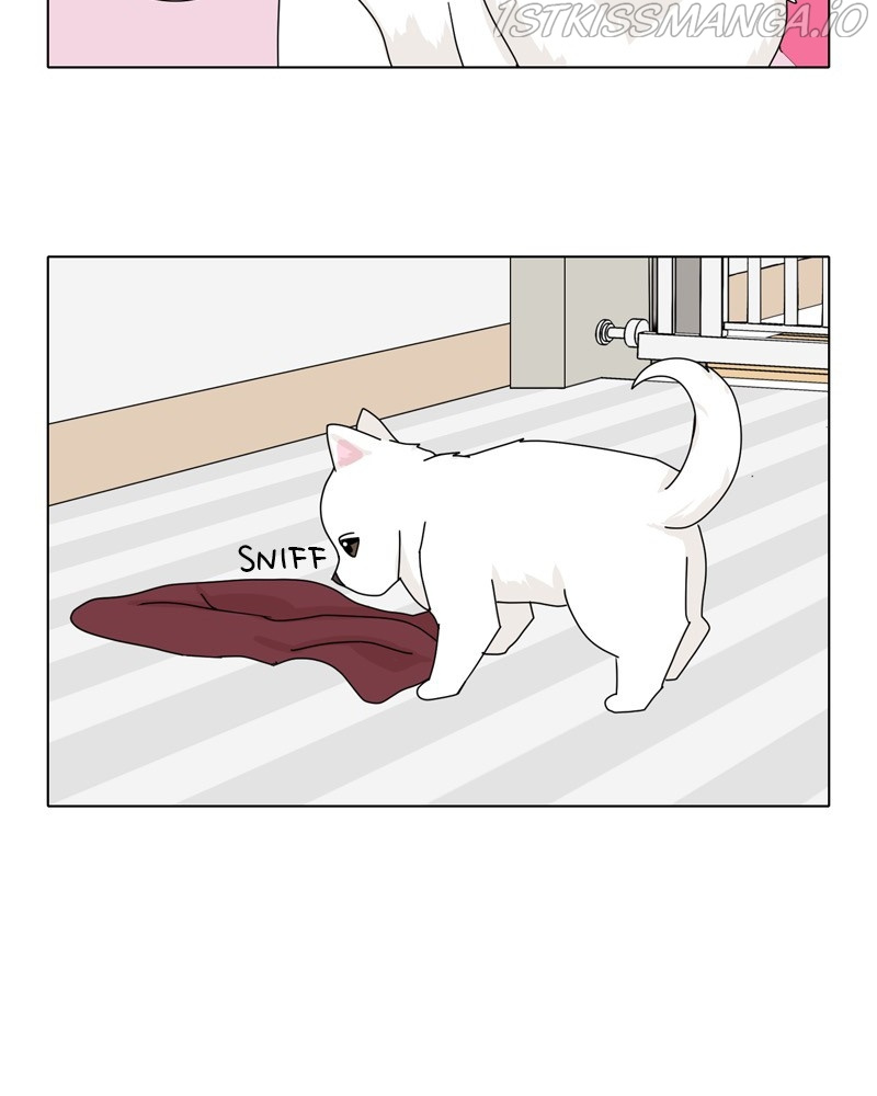 The Dog Diaries Chapter 48 #65
