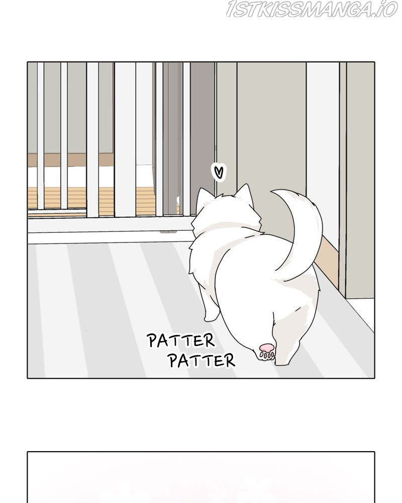 The Dog Diaries Chapter 48 #70