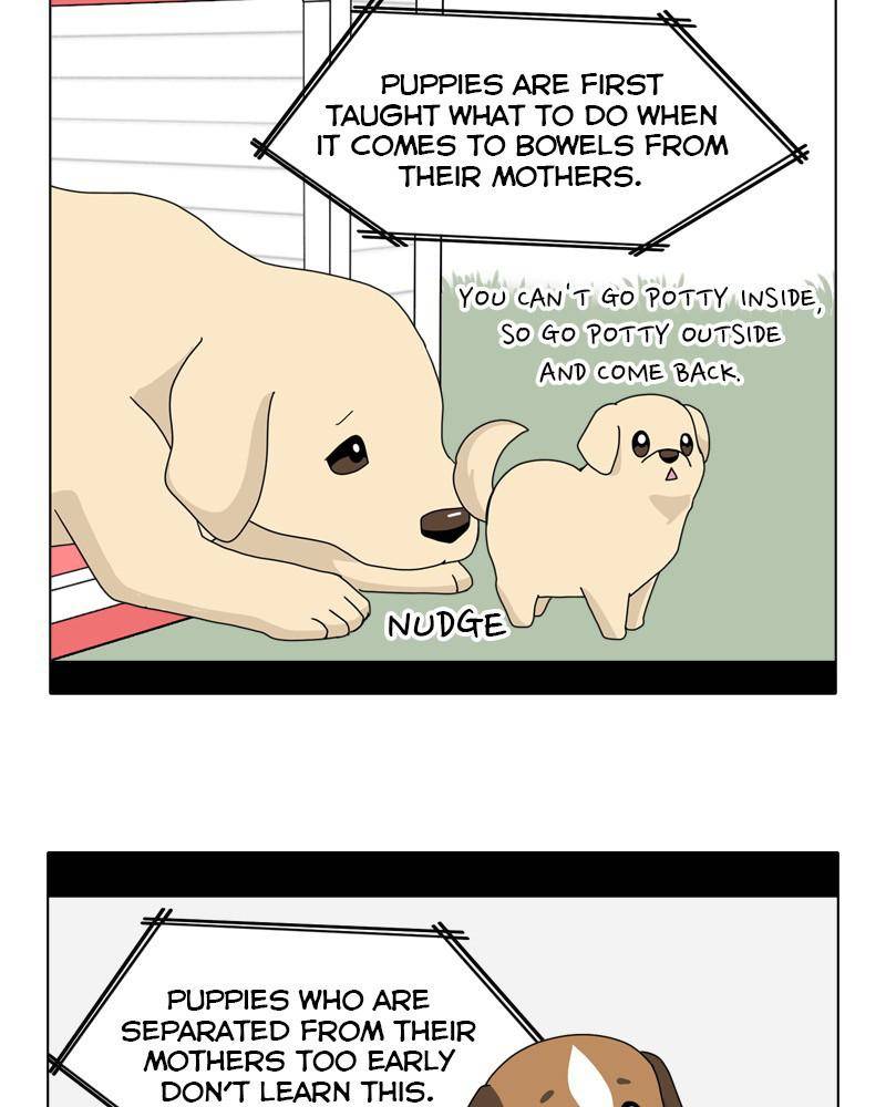 The Dog Diaries Chapter 44 #19