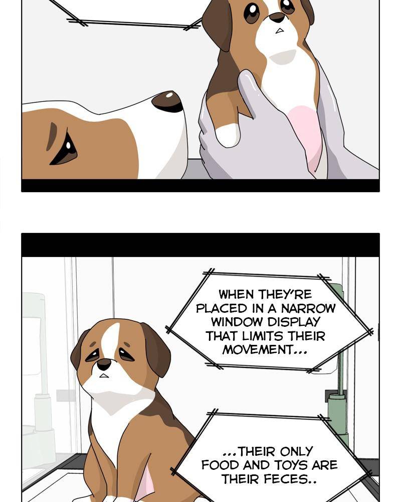 The Dog Diaries Chapter 44 #20