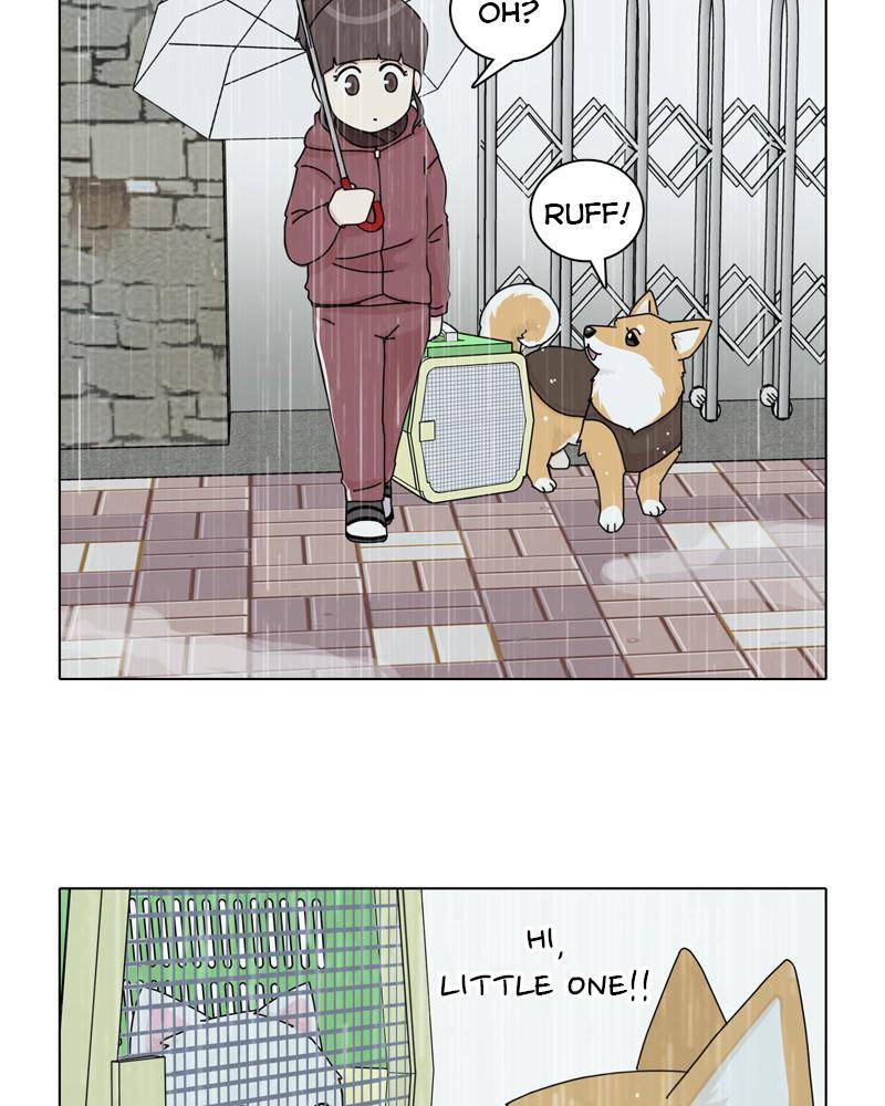 The Dog Diaries Chapter 44 #38