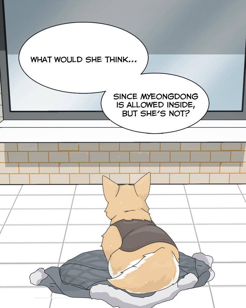 The Dog Diaries Chapter 44 #53