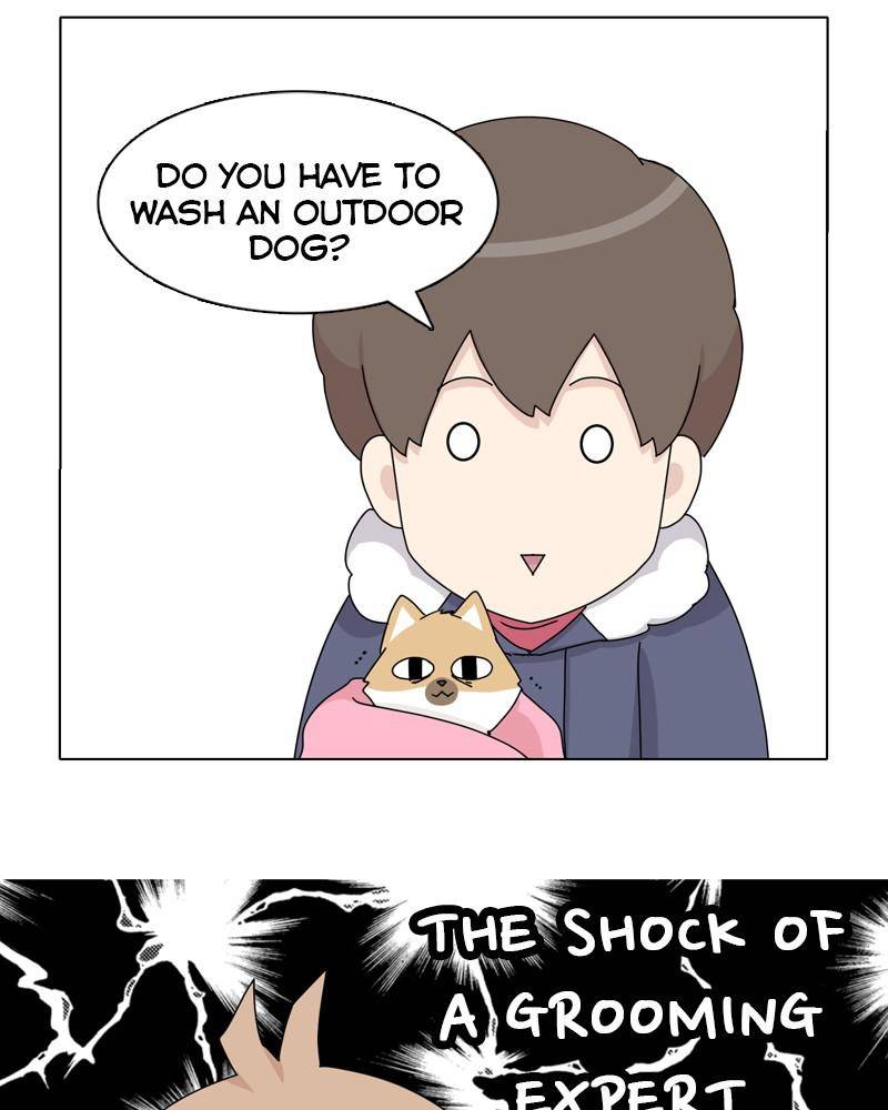 The Dog Diaries Chapter 45 #34