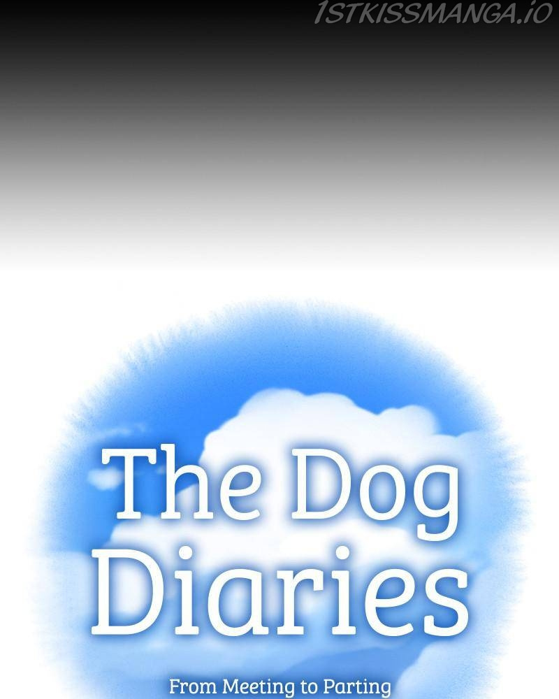The Dog Diaries Chapter 42 #12