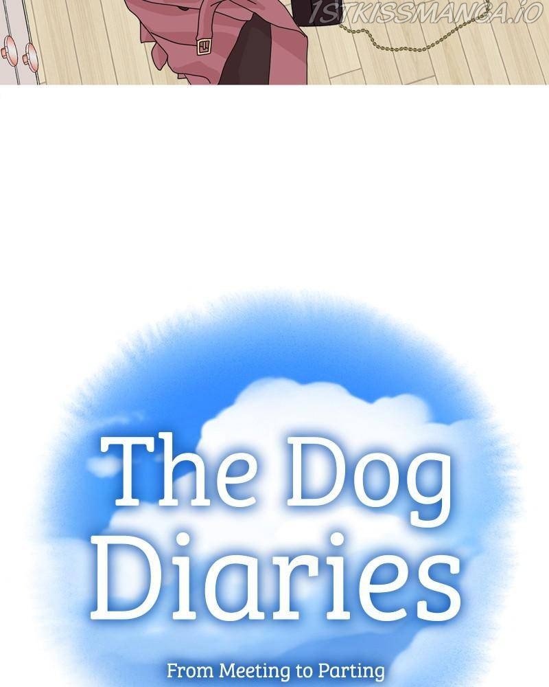 The Dog Diaries Chapter 43 #14