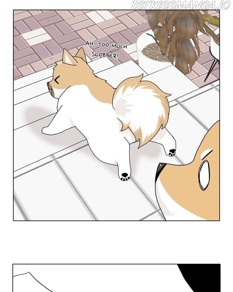 The Dog Diaries Chapter 43 #72