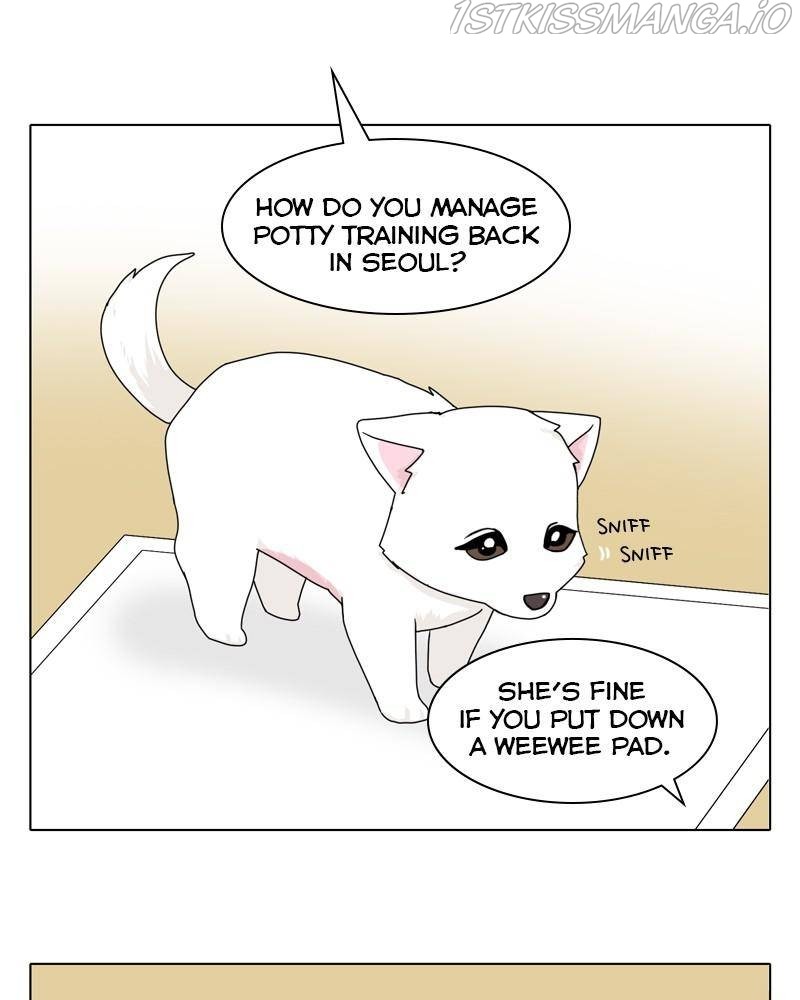 The Dog Diaries Chapter 43 #88