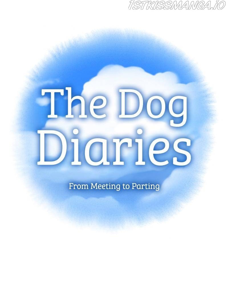 The Dog Diaries Chapter 39 #11