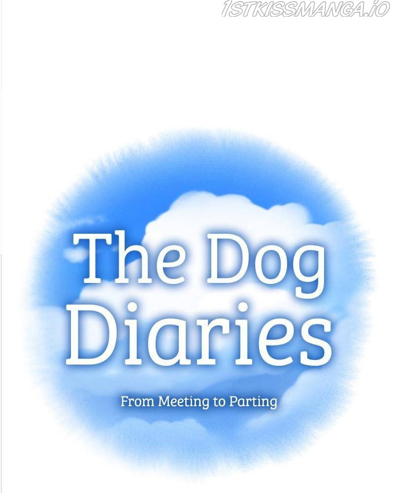 The Dog Diaries Chapter 40 #19