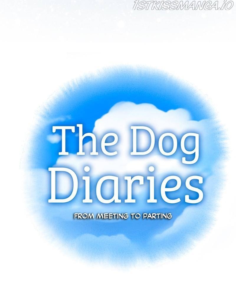 The Dog Diaries Chapter 36 #9