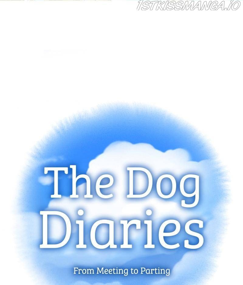 The Dog Diaries Chapter 34 #14