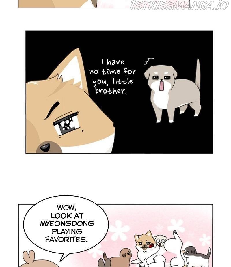The Dog Diaries Chapter 33 #10