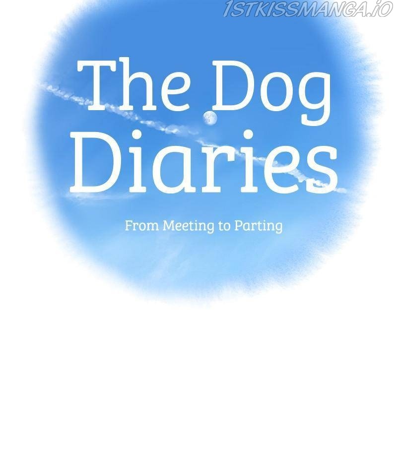 The Dog Diaries Chapter 33 #16