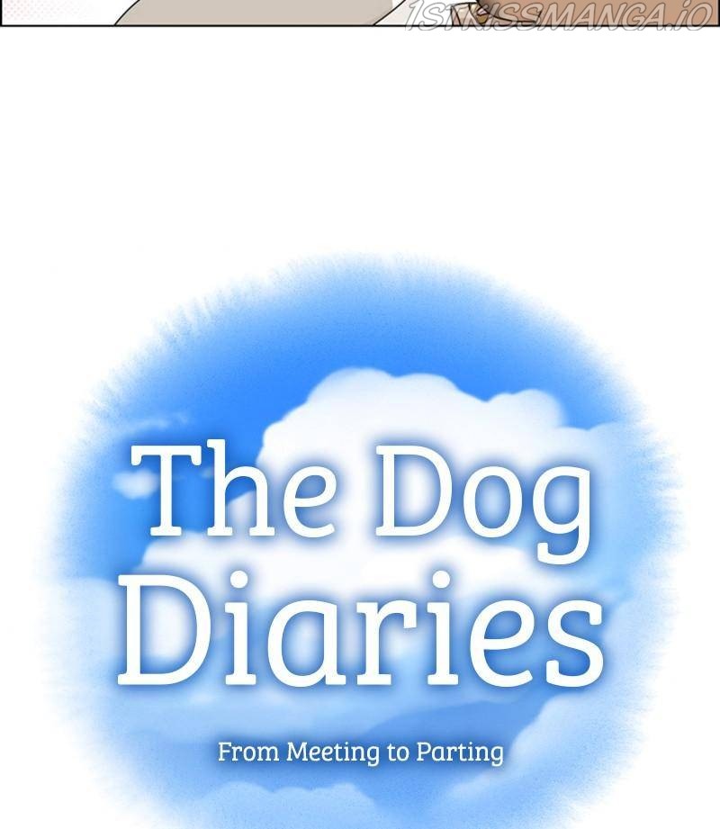 The Dog Diaries Chapter 32 #11