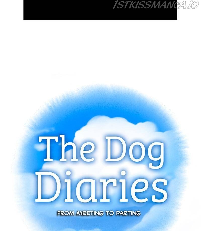 The Dog Diaries Chapter 27 #8