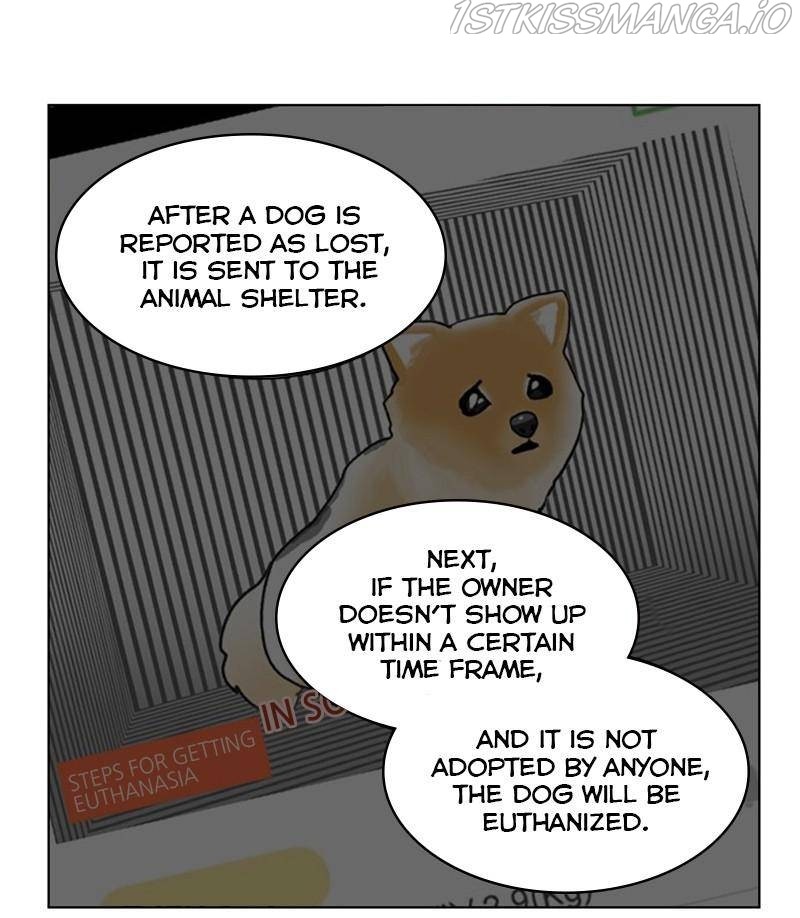 The Dog Diaries Chapter 27 #15