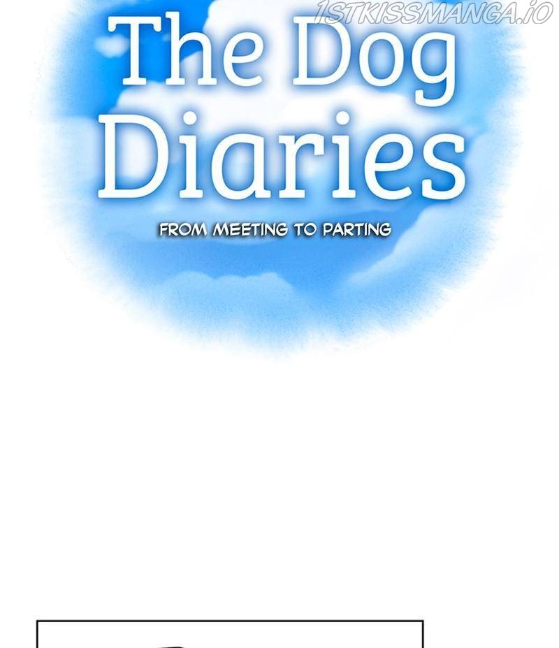 The Dog Diaries Chapter 26 #14