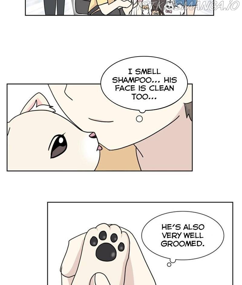 The Dog Diaries Chapter 26 #37