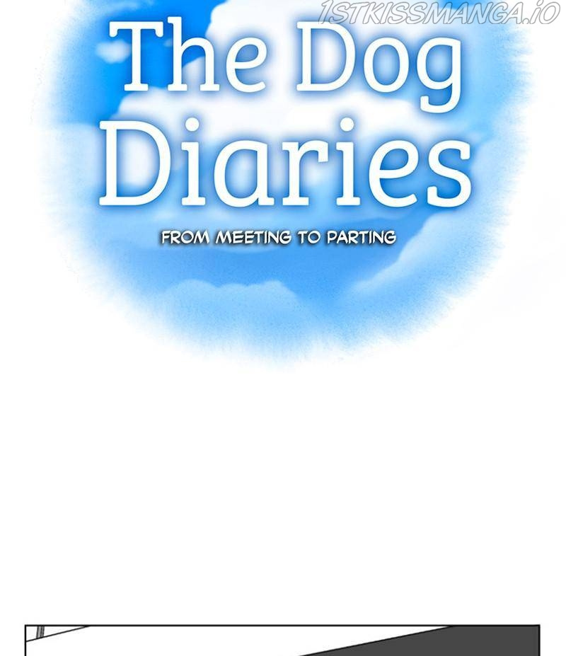 The Dog Diaries Chapter 21 #15