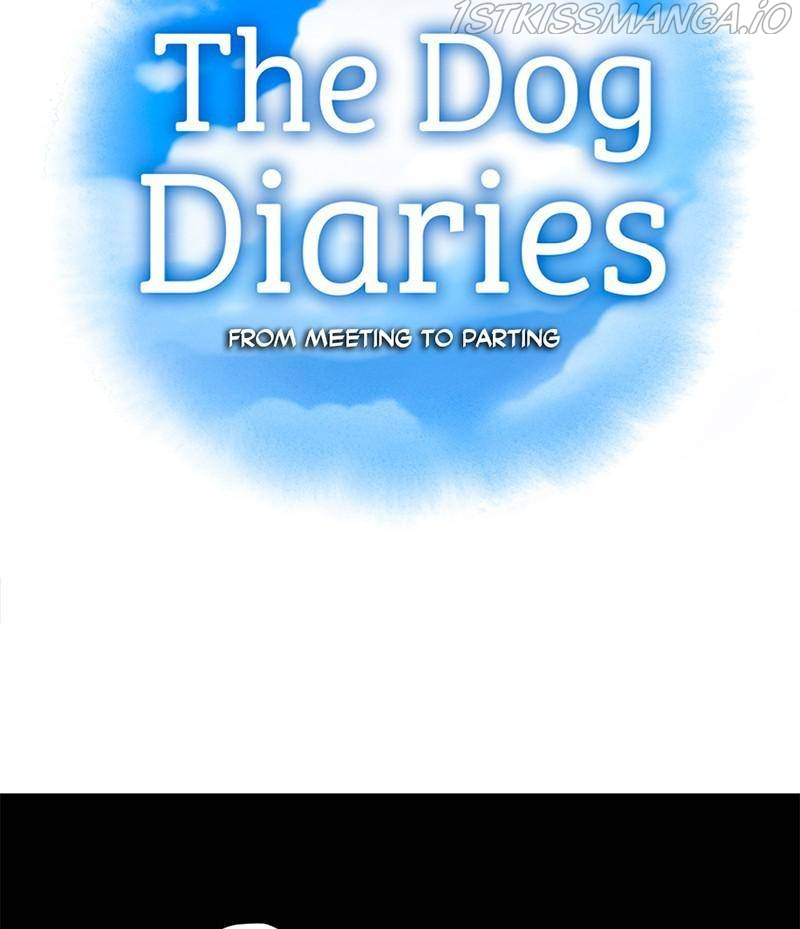The Dog Diaries Chapter 16 #17