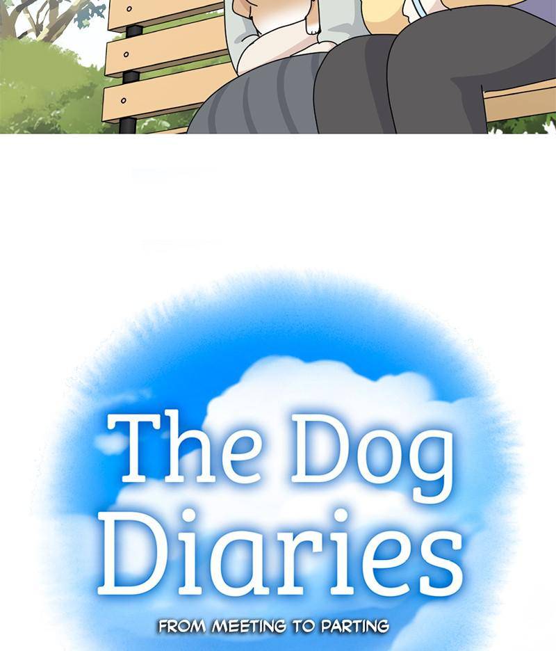 The Dog Diaries Chapter 14 #9