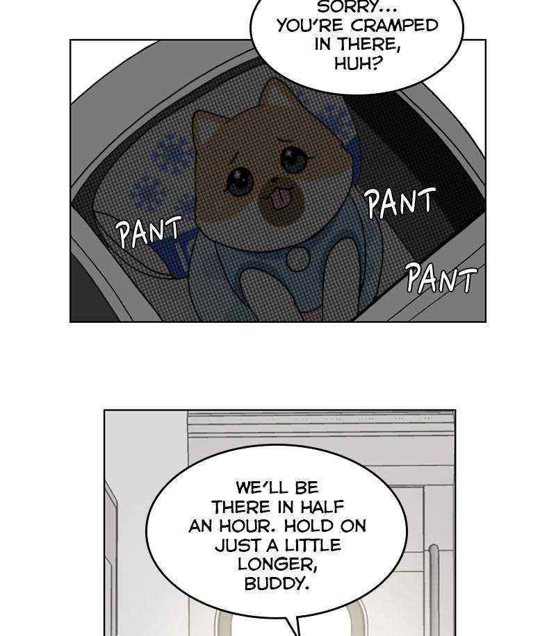 The Dog Diaries Chapter 14 #37