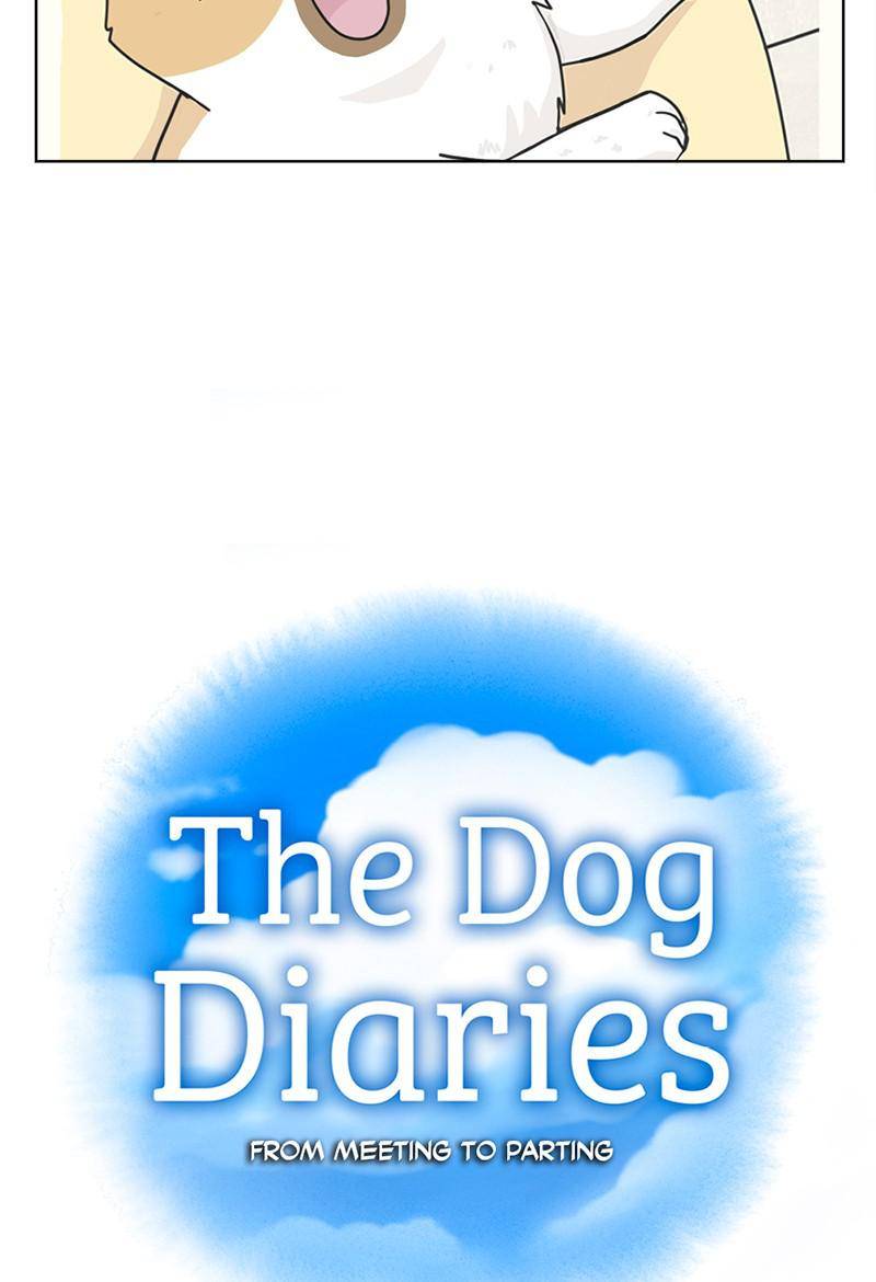 The Dog Diaries Chapter 13 #13