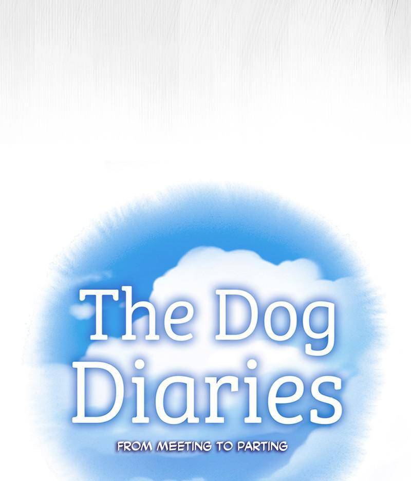 The Dog Diaries Chapter 12 #10