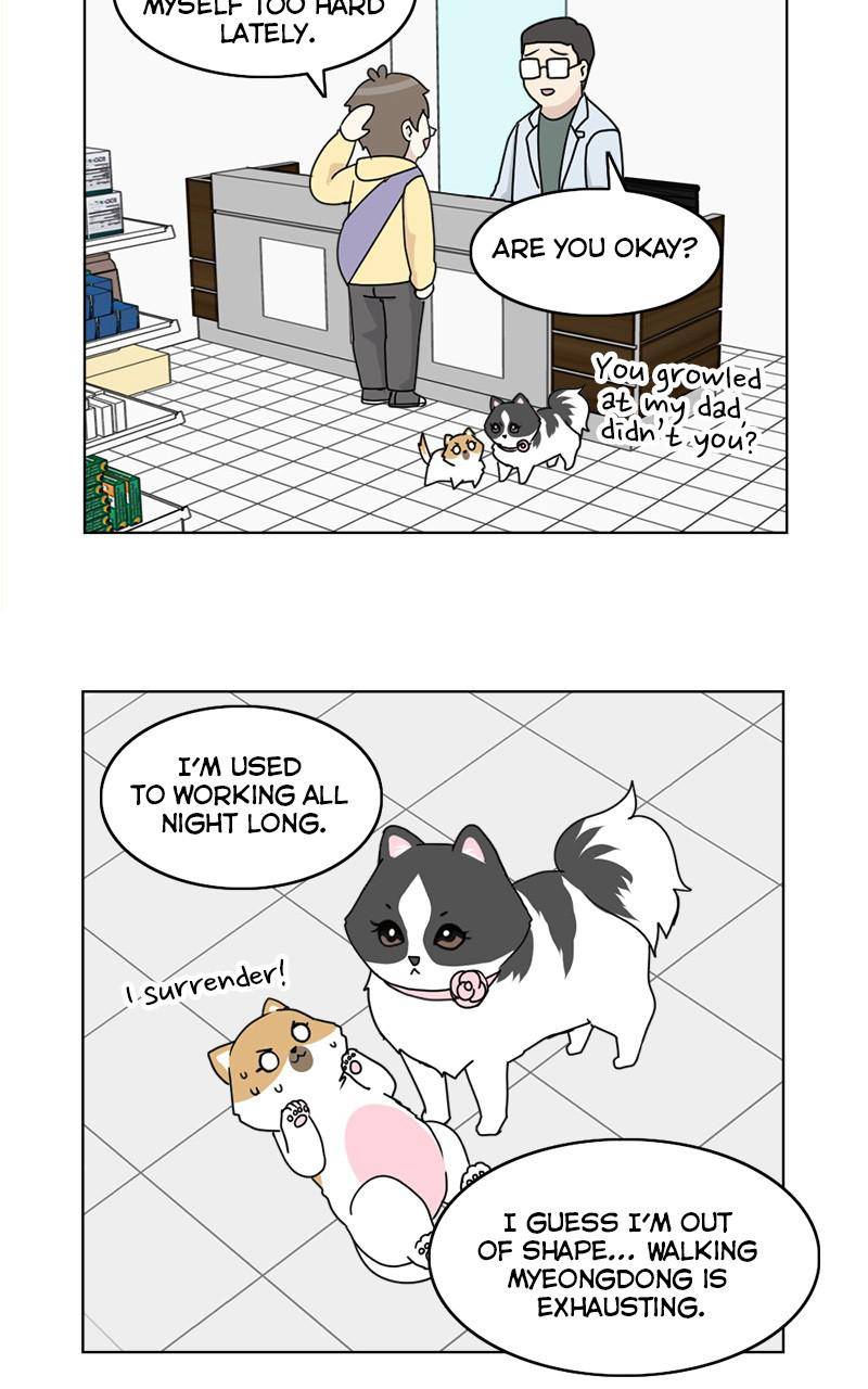 The Dog Diaries Chapter 9 #18