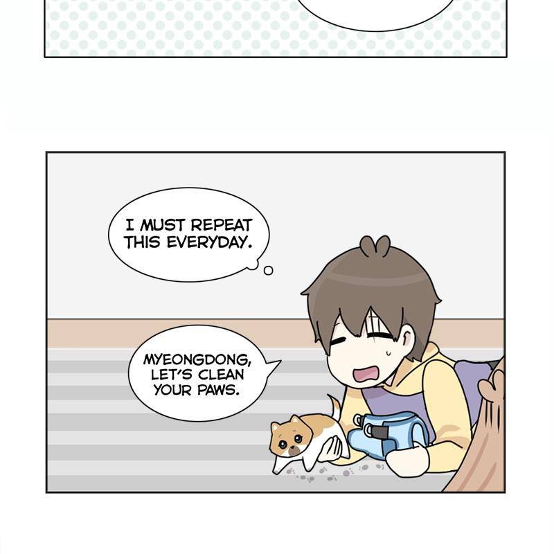 The Dog Diaries Chapter 8 #63
