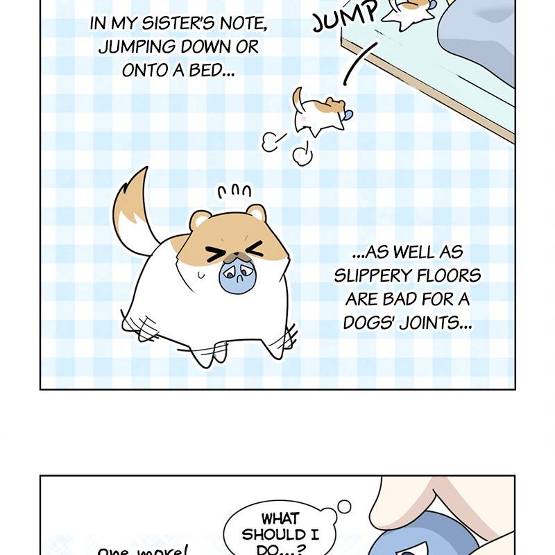 The Dog Diaries Chapter 5 #49