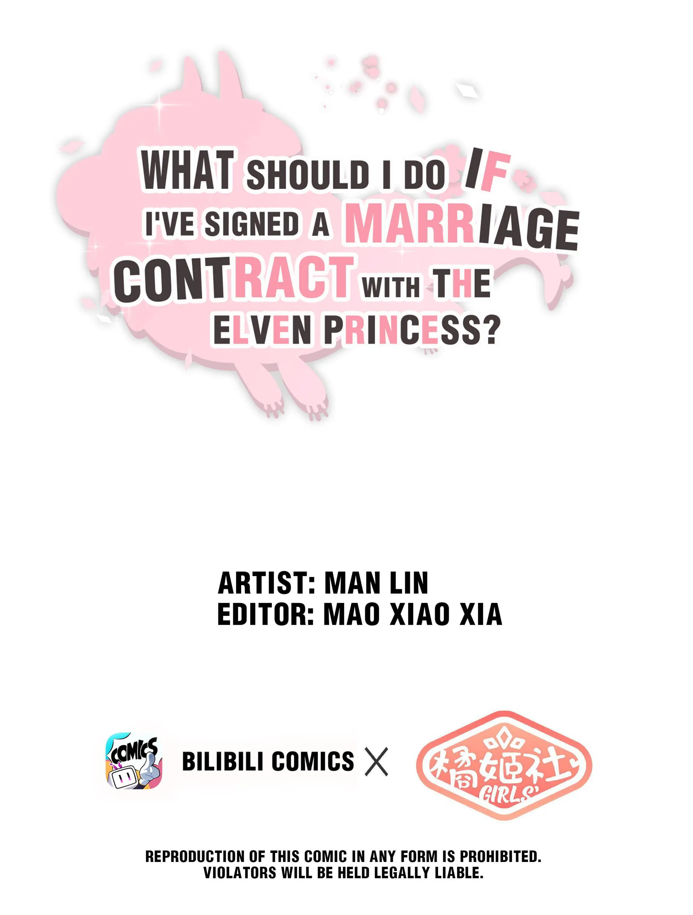 What Do I Do If I Signed A Marriage Contract With The Elf Princess? Chapter 14 #1