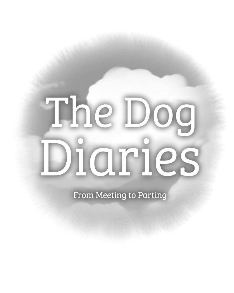 The Dog Diaries Chapter 3 #6