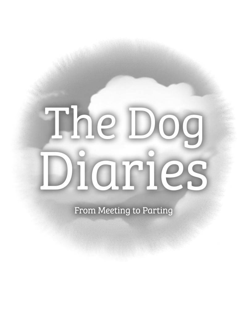 The Dog Diaries Chapter 0 #65