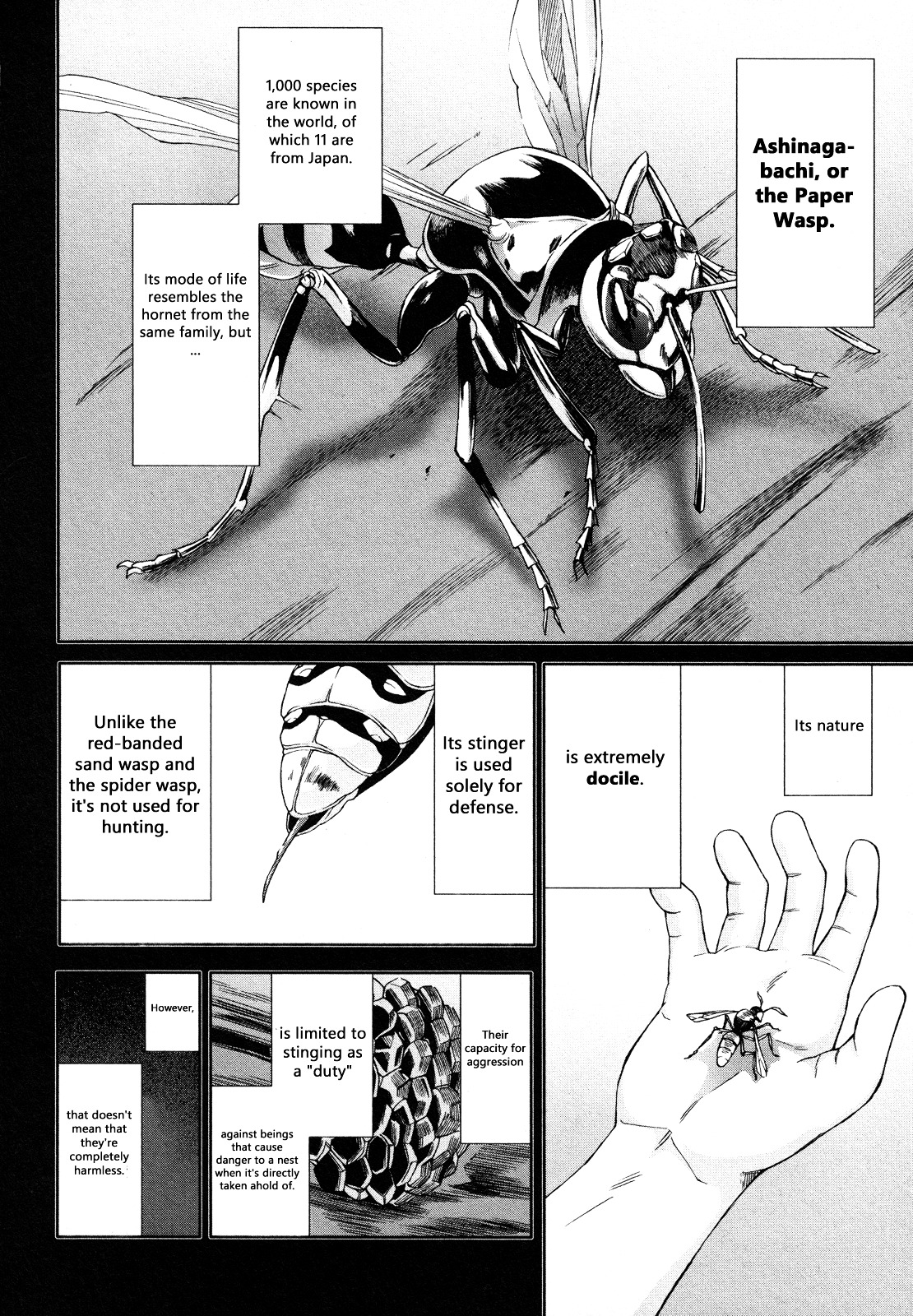 Arachnid Chapter 64 #22