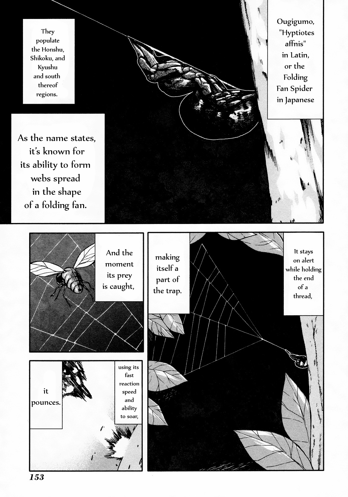 Arachnid Chapter 49 #13